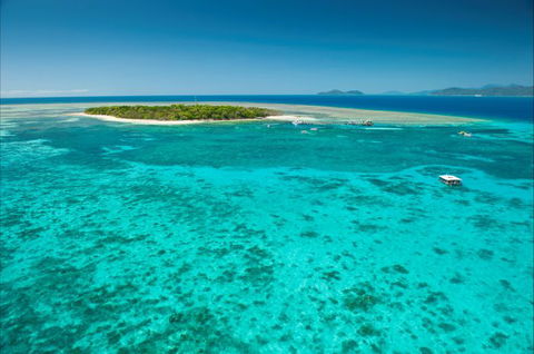Big Cat Green Island Reef Cruises - Accommodation Sunshine Coast 17