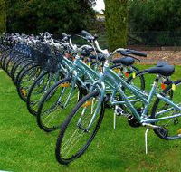Barossa Bike  - Accommodation Sunshine Coast