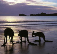 Beachcomber Cove Track - Accommodation Sunshine Coast