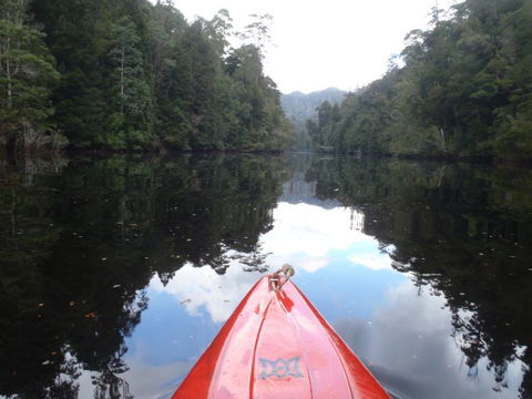 King River Rafting - Accommodation Sunshine Coast 1