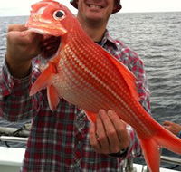 Goin' Off Safaris - Accommodation Sunshine Coast