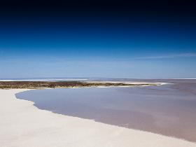 Goin' Off Safaris - Accommodation Sunshine Coast 10