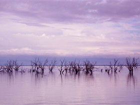 Tri State Safaris - Accommodation Sunshine Coast 8