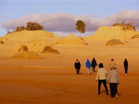 Tri State Safaris - Accommodation Sunshine Coast 14