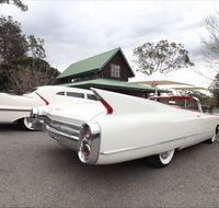 Hunter Valley Cadillacs - Accommodation Sunshine Coast