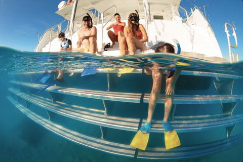 Australian Sunset Safaris - Accommodation Sunshine Coast 0