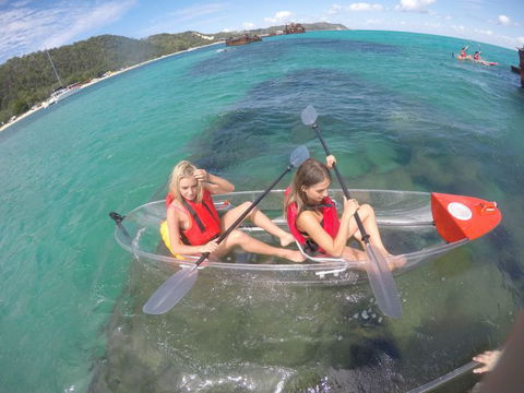 Australian Sunset Safaris - Accommodation Sunshine Coast 22