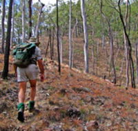 Shepherd's Peak Trail - Accommodation Sunshine Coast