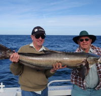 Reel Time Charters Yamba - Accommodation Sunshine Coast