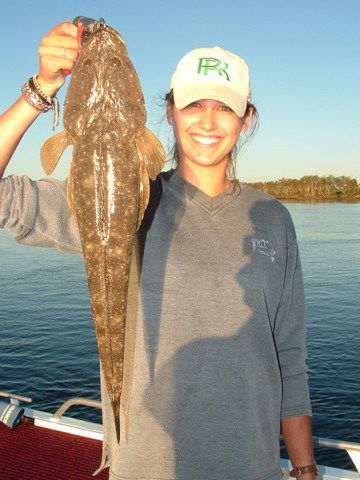 Reel Time Charters Yamba - Accommodation Sunshine Coast 1