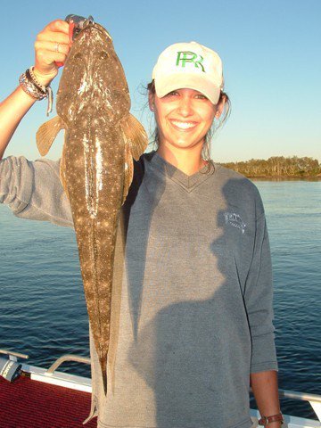 Reel Time Charters Yamba - Accommodation Sunshine Coast 2