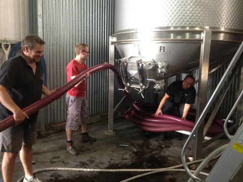 La Prova Wines - Accommodation Sunshine Coast 2