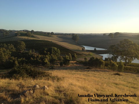 La Prova Wines - Accommodation Sunshine Coast 3