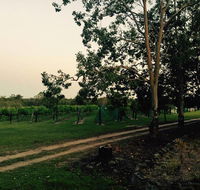 Brierley Wines - Accommodation Sunshine Coast