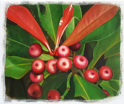 Claire Souter Gallery - Accommodation Sunshine Coast 2