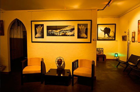 Tin Shed Art Gallery - Accommodation Sunshine Coast 2