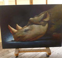 Art on Pallas - Accommodation Sunshine Coast