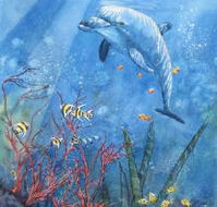 Nadas Fine Art Gallery - Accommodation Sunshine Coast