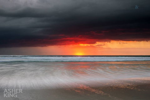 Ocean Art Gallery & Cafe - Accommodation Sunshine Coast 2