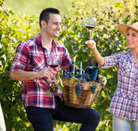 Two Tails Wines - Accommodation Sunshine Coast