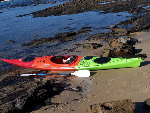 Australis Canoes & Kayaks - Accommodation Sunshine Coast 3