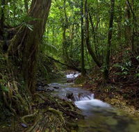 Trek North - Accommodation Sunshine Coast