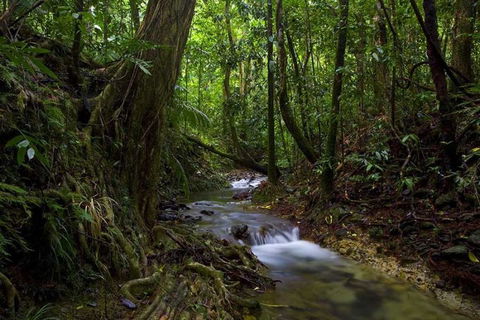 Trek North - Accommodation Sunshine Coast 0