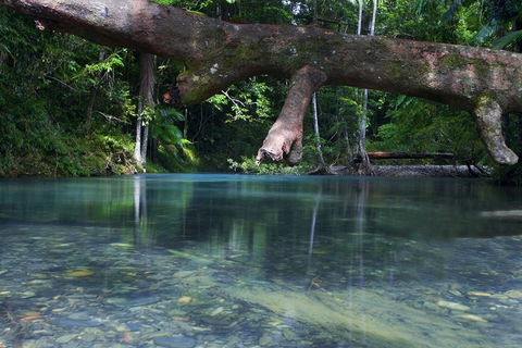 Trek North - Accommodation Sunshine Coast 1
