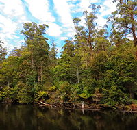 A R Reflections River Cruises - Accommodation Sunshine Coast