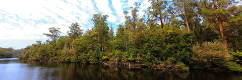 A R Reflections River Cruises - Accommodation Sunshine Coast 0