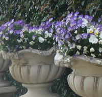 Gardenalia Open Garden and Rare Plant Nursery - Accommodation Sunshine Coast