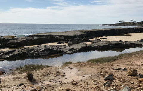 Yamba Tours And Charters - Accommodation Sunshine Coast 0
