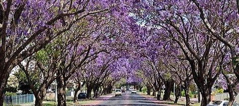 Yamba Tours And Charters - Accommodation Sunshine Coast 6