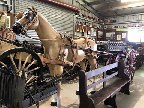 Yamba Tours And Charters - Accommodation Sunshine Coast 9