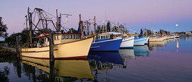 Yamba Tours And Charters - Accommodation Sunshine Coast 14
