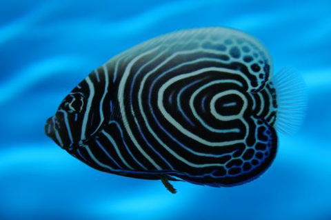 River To Reef Aquarium - Accommodation Sunshine Coast 2