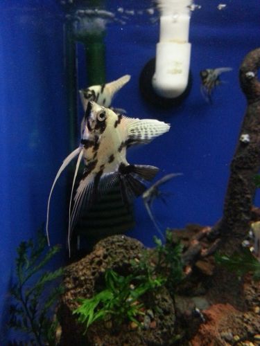 Tropical Marine Centre - Accommodation Sunshine Coast 3