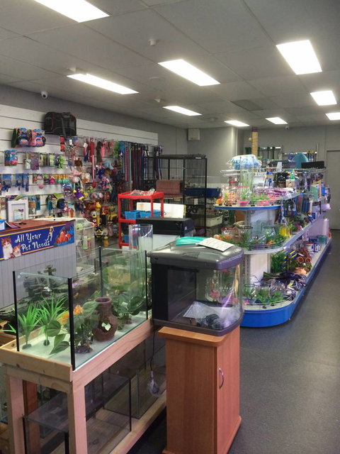 Nambour Pet Shop - Accommodation Sunshine Coast 0