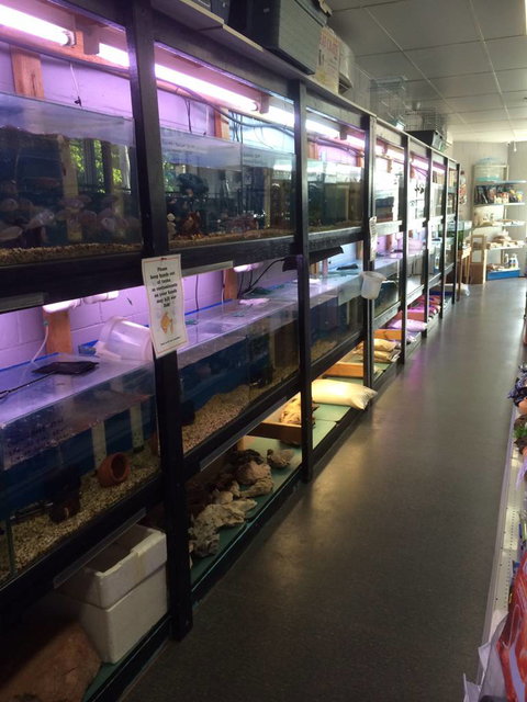 Nambour Pet Shop - Accommodation Sunshine Coast 1