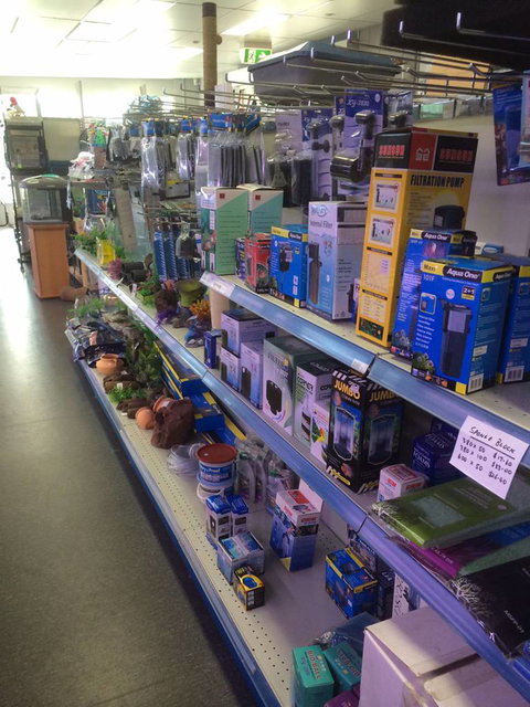 Nambour Pet Shop - Accommodation Sunshine Coast 2