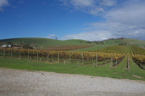 Wine Compass - Accommodation Sunshine Coast 1