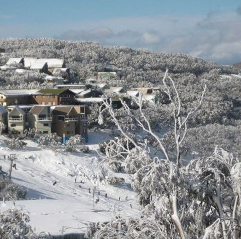 Down Under Thrills - Accommodation Sunshine Coast 2