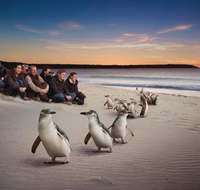 Down Under Thrills - Accommodation Sunshine Coast
