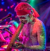 Didgeridoo Jam In The Park - Accommodation Sunshine Coast 1