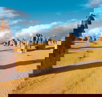 Pinnacles Desert Koalas and Sandboarding 4WD Day Tour from Perth