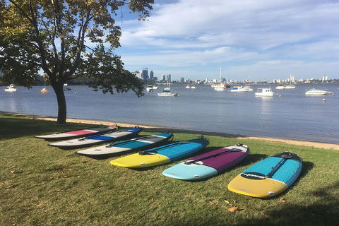 Stand Up Paddle Boarding - 2 Person Lesson - 1 Hour - Accommodation Sunshine Coast 0