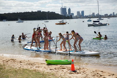 Stand Up Paddle Boarding - 2 Person Lesson - 1 Hour - Accommodation Sunshine Coast 5