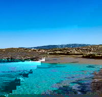 Rottnest Island Roundtrip Fast Ferry from Hillarys Boat Harbour - Accommodation Sunshine Coast