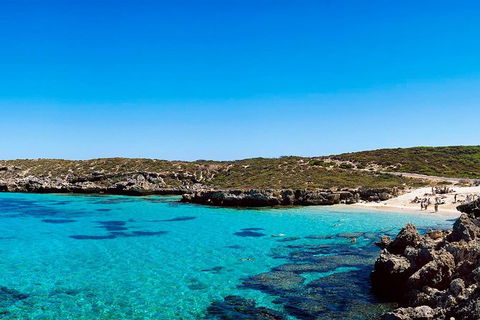 Rottnest Island Roundtrip Fast Ferry From Hillarys Boat Harbour - Accommodation Sunshine Coast 0