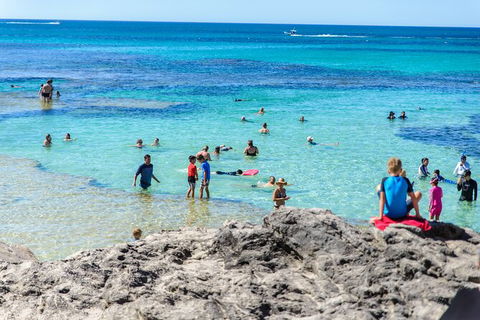 Rottnest Island Roundtrip Fast Ferry From Hillarys Boat Harbour - Accommodation Sunshine Coast 4